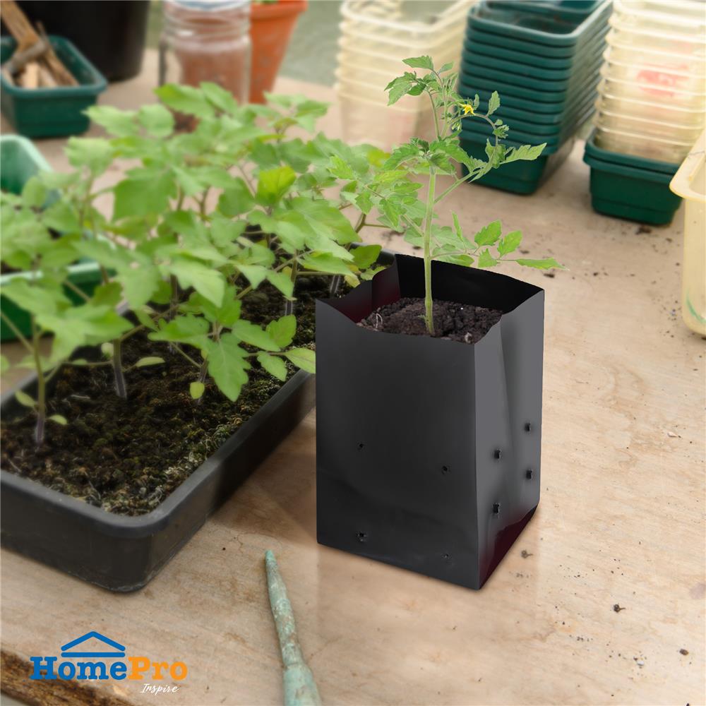 ถุงเพาะชำ SPRING 6x14 นิ้ว 1 กก. สีดำ