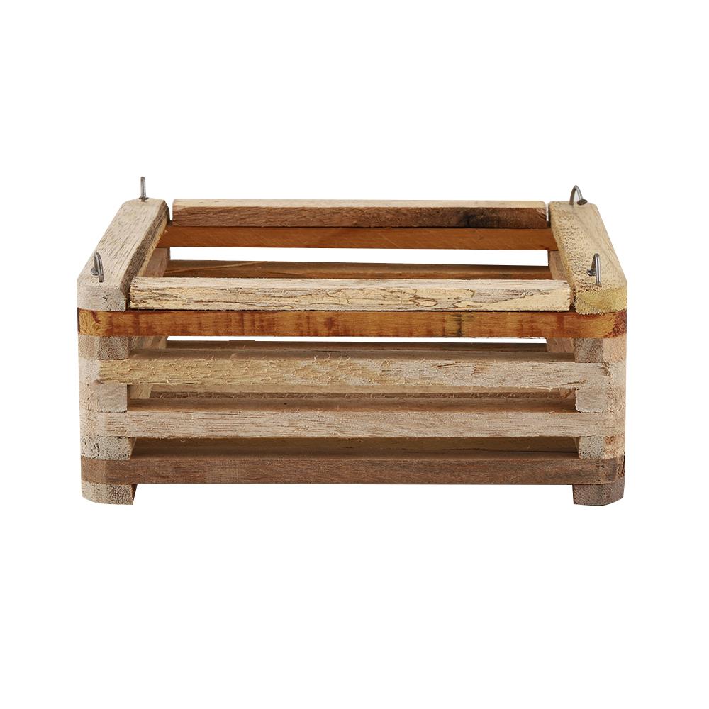 กระถางกล้วยไม้เหลี่ยม GARTENE 8 นิ้ว