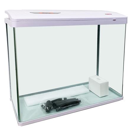 cate-ตู้ปลา