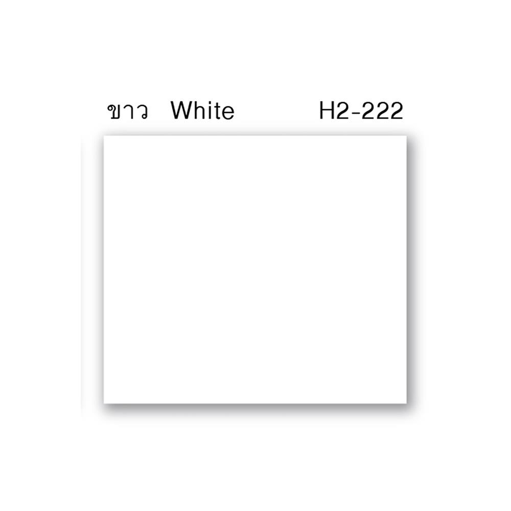 สีน้ำมันกันสนิม WOODTECT HERO RUSTTECH 2IN1 H2-222 สีขาว ด้าน 1/4 แกลลอน