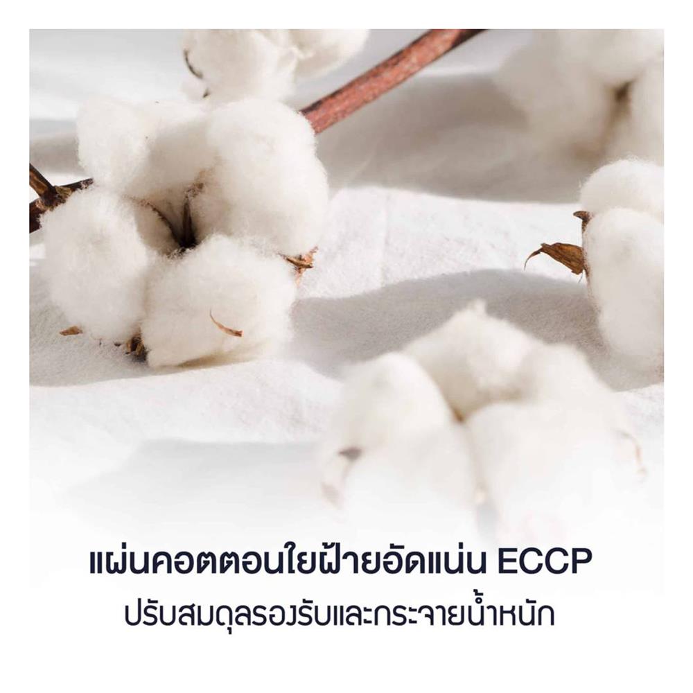 ที่นอน 6 ฟุต LOTUS NAUTILUS