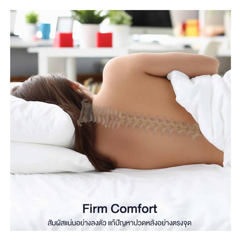 ที่นอน 6 ฟุต LOTUS NAUTILUS