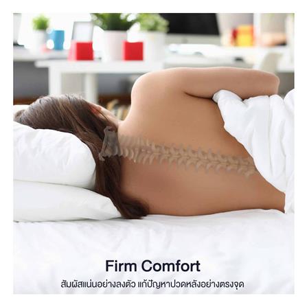 ที่นอน 6 ฟุต LOTUS NAUTILUS_8