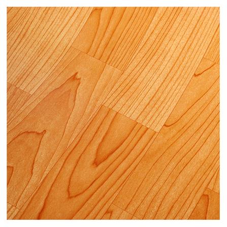 พรมวิทยาศาสตร์ 1.80 ม.x5 ม. MPI REM725M-MP58/5_3