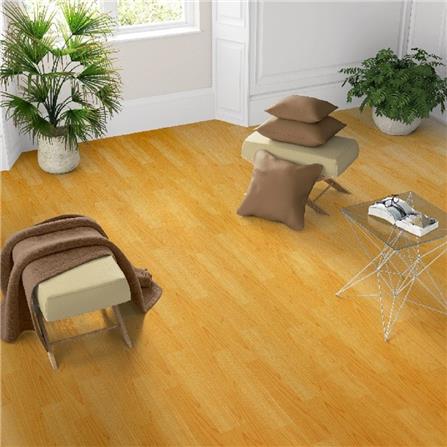 พรมวิทยาศาสตร์ 1.80 ม.x5 ม. MPI REM725M-MP58/5_4