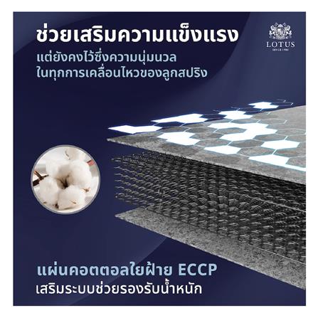ที่นอน 5 ฟุต LOTUS NORTHLIGHT I พร้อมหมอนหนุน 2 ชิ้น_7