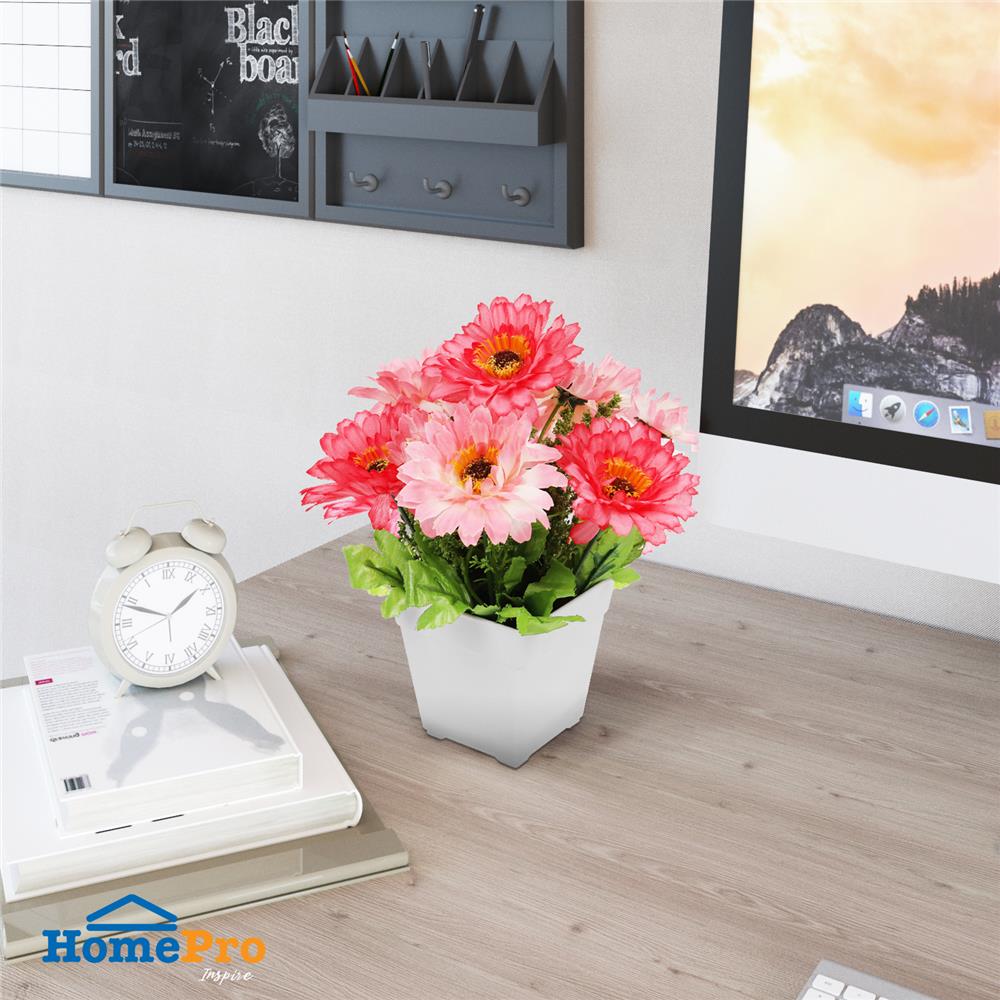 ดอกไม้ประดิษฐ์ในกระถาง ME LIVING DAISY สีชมพู