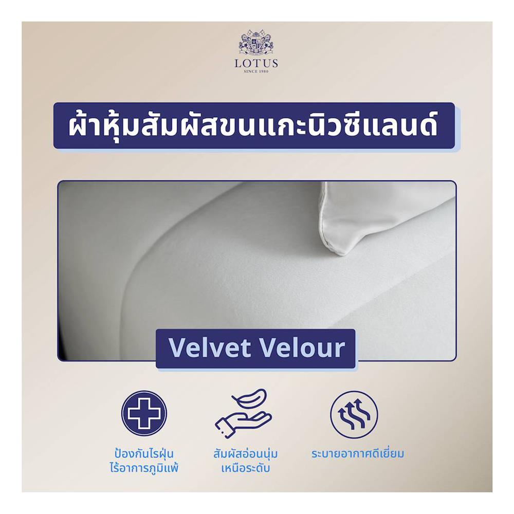 ที่นอน 6 ฟุต LOTUS CASTLE (พร้อมหมอนหนุน 2 ใบ)