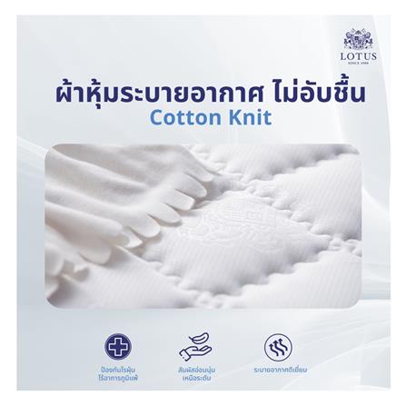 ที่นอน 3.5 ฟุต LOTUS VIOLIN พร้อมหมอนหนุน 1 ชิ้น_4