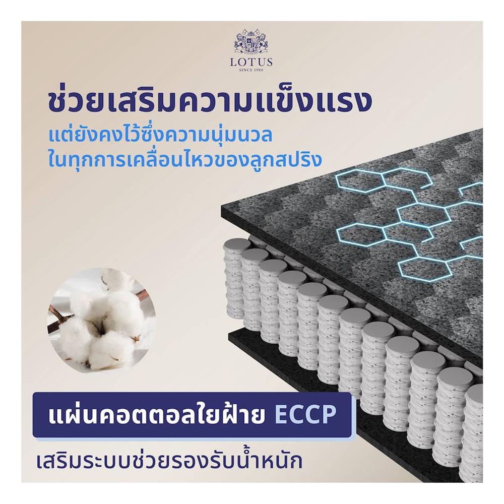 ที่นอน 5 ฟุต LOTUS CASTLE