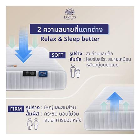 ที่นอน 3.5 ฟุต LOTUS CASTLE_3