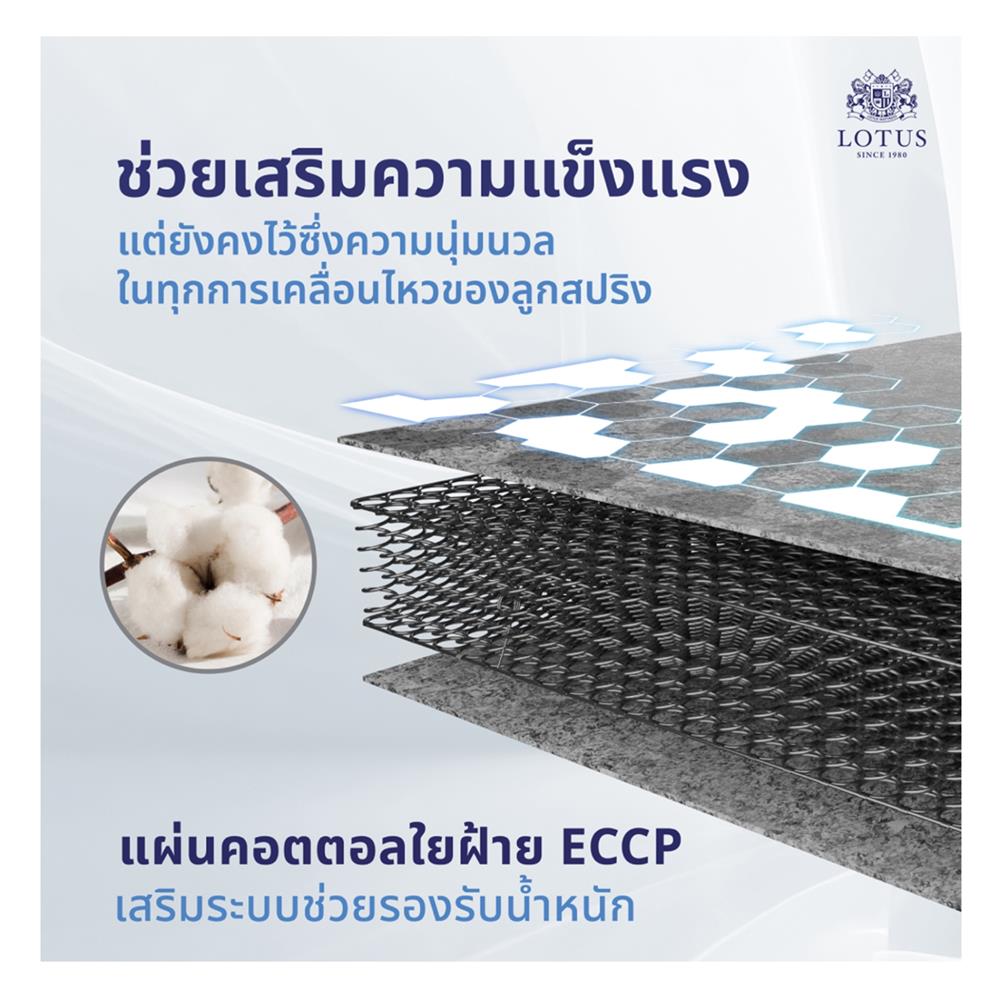 ที่นอน 6 ฟุต LOTUS VIOLIN พร้อมหมอนหนุน 2 ชิ้น