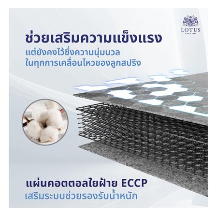 ที่นอน 6 ฟุต LOTUS VIOLIN พร้อมหมอนหนุน 2 ชิ้น_10