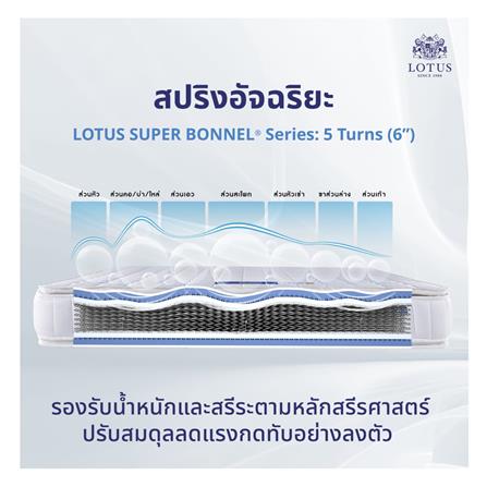 ที่นอน 5 ฟุต LOTUS VIOLIN พร้อมหมอนหนุน 2 ชิ้น_6