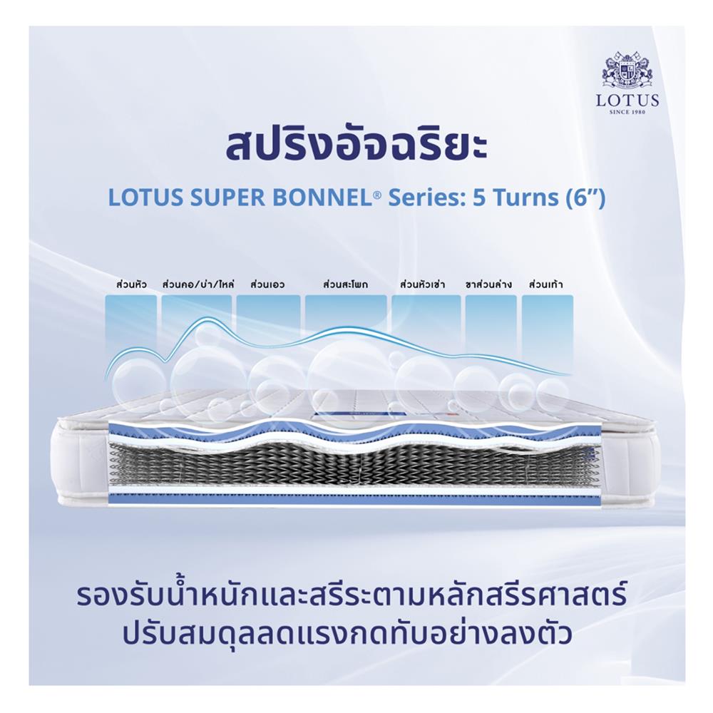 ที่นอน 6 ฟุต LOTUS NORTHLIGHT II พร้อมหมอนหนุน 2 ชิ้น