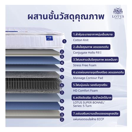 ที่นอน 6 ฟุต LOTUS NORTHLIGHT II พร้อมหมอนหนุน 2 ชิ้น_5