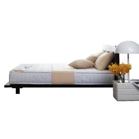 ที่นอน 3.5 ฟุต LOTUS NORTHLIGHT III