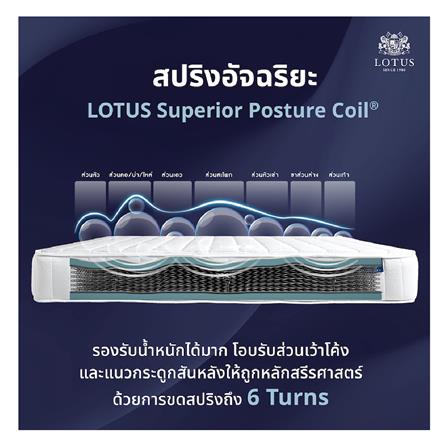 ที่นอน 6 ฟุต LOTUS NORTHLIGHT I พร้อมหมอนหนุน 2 ชิ้น_6