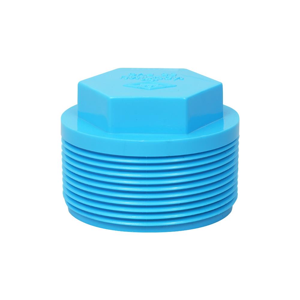 ปลั๊กอุดเกลียวนอก ท่อน้ำไทย 2 นิ้ว สีฟ้า