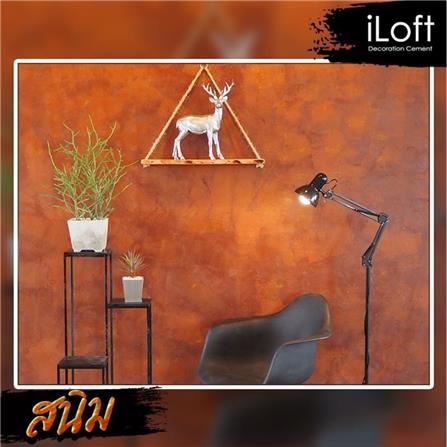 สีซีเมนต์สร้างลาย ILOFT สีสนิม 9 กก._2