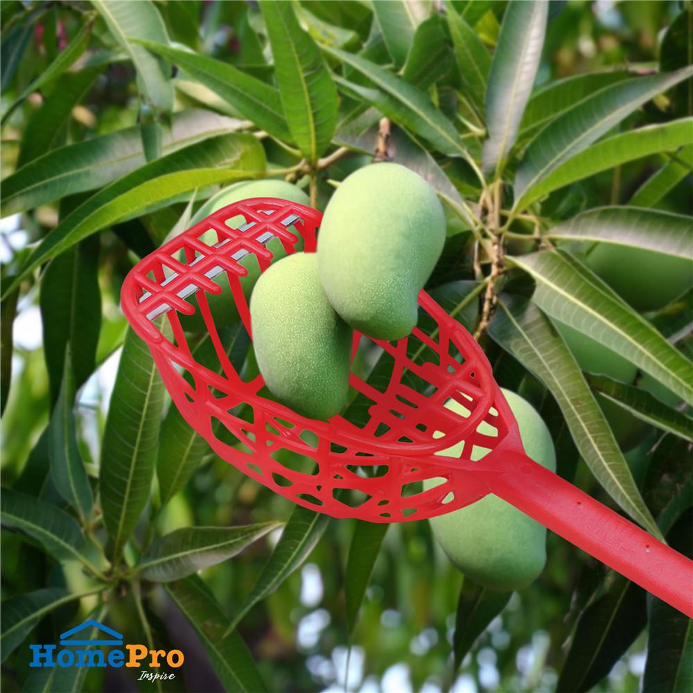 ตะกร้อสอยผลไม้ พลาสติกพร้อมใบมีด SPRING