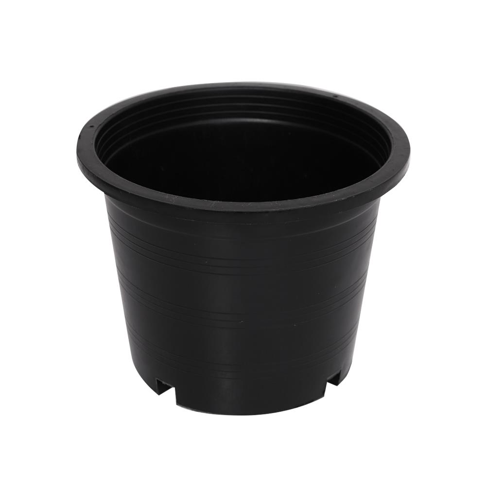กระถางพลาสติกปากกลม PNP 6 นิ้ว สีดำ แพ็ก 50 ชิ้น