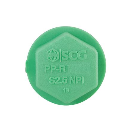 ปลั๊กอุดเกลียว PP-R SCG 3/4 นิ้ว_2