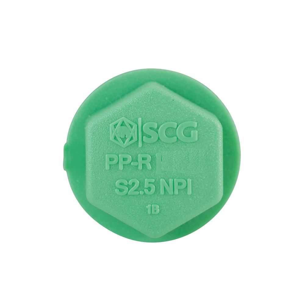 ปลั๊กอุดเกลียว PP-R SCG 1/2 นิ้ว สีเขียว