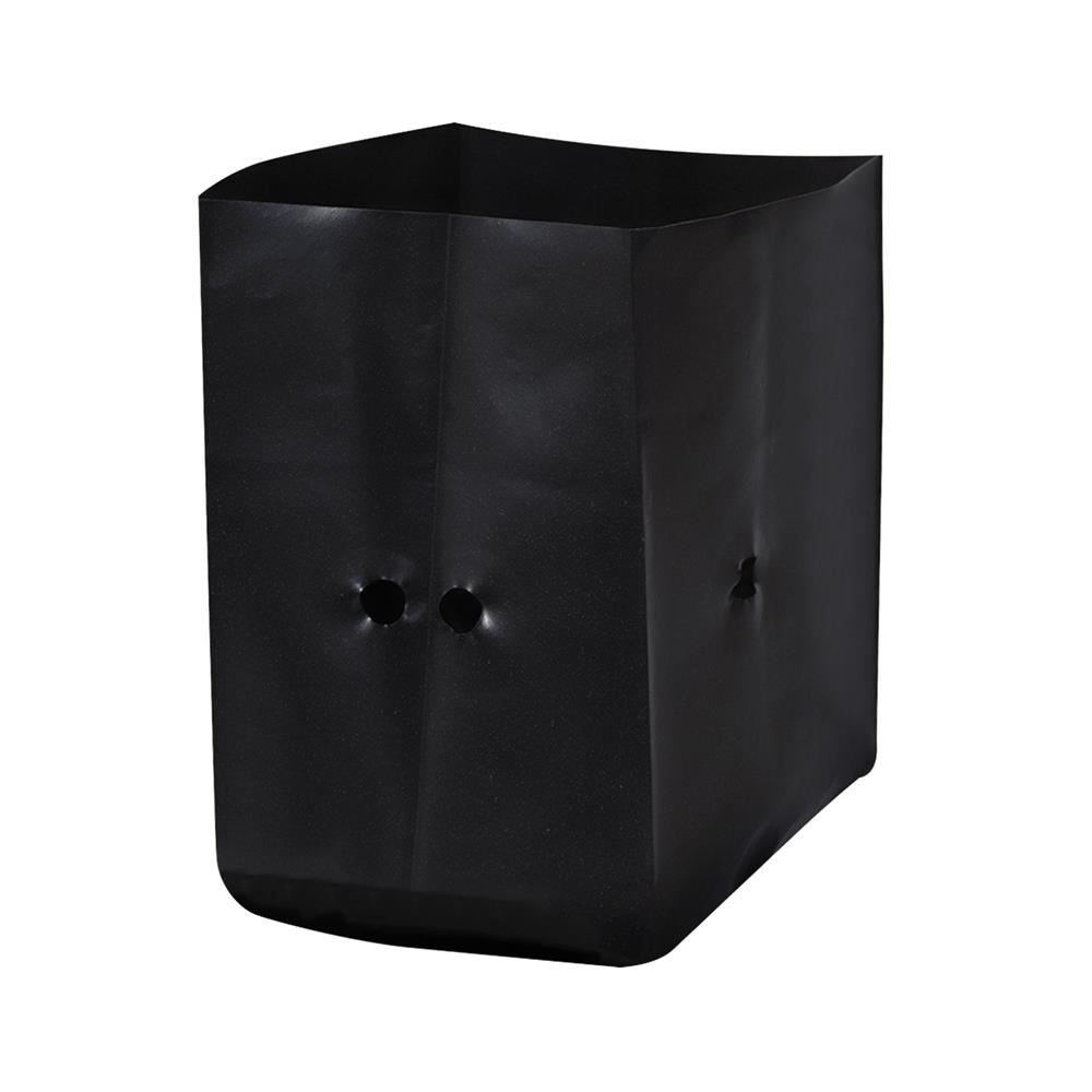 ถุงเพาะชำ ม้าบิน 3x6 นิ้ว 1 กก. สีดำ