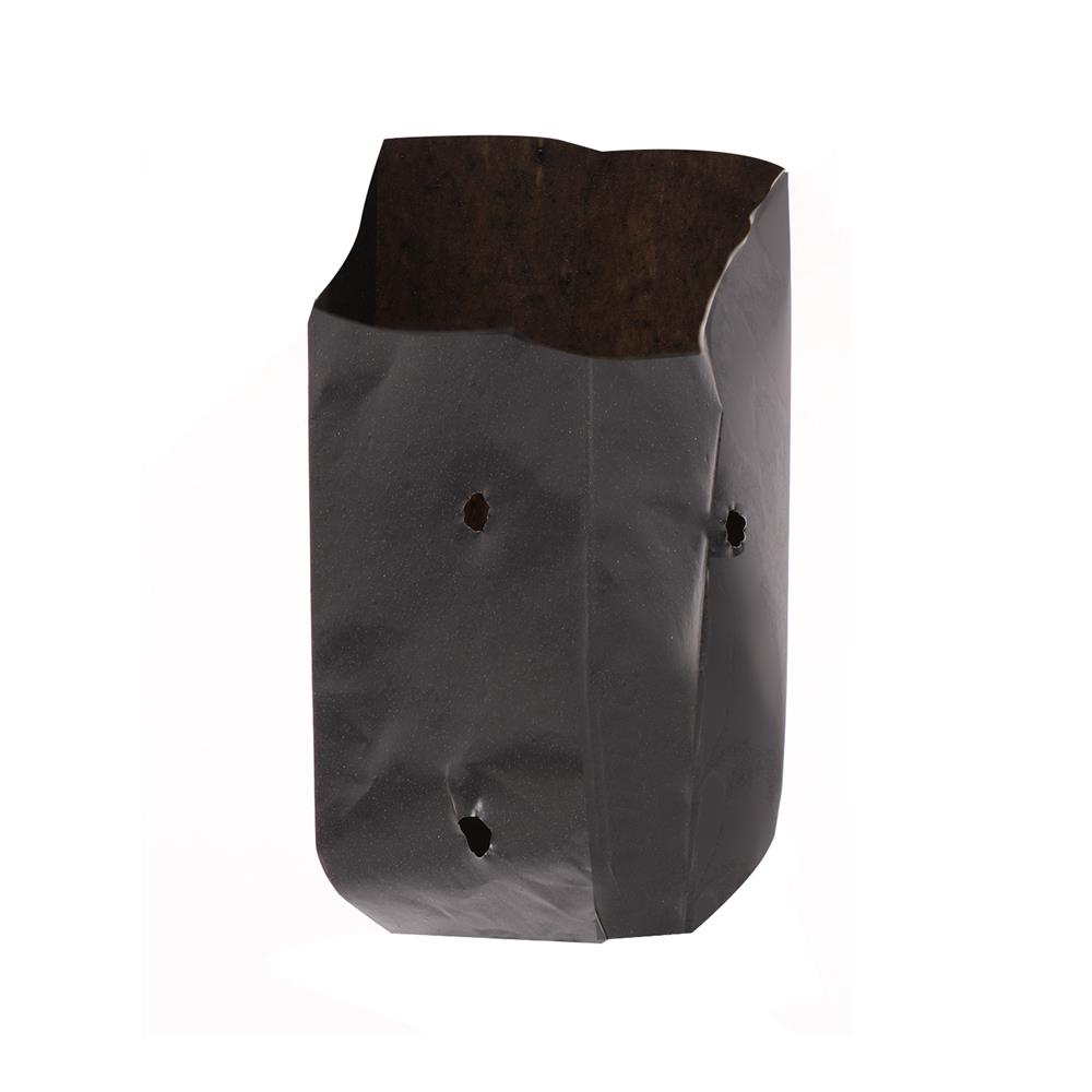 ถุงเพาะชำ ม้าบิน 2.5x6 นิ้ว 1 กก. สีดำ