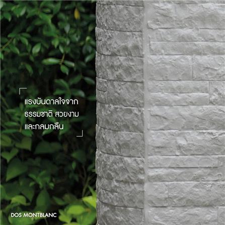 ถังเก็บน้ำ DOS MONTBLCANC NANO 900 ลิตร สี MOUNTAIN GREY_7