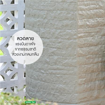 ถังเก็บน้ำ DOS MONTBLANC WATER PAC 900 ลิตร+ปั๊มน้ำ GRUNDFOS CMB5-37PM1 สี MOUNTAIN GREY_8