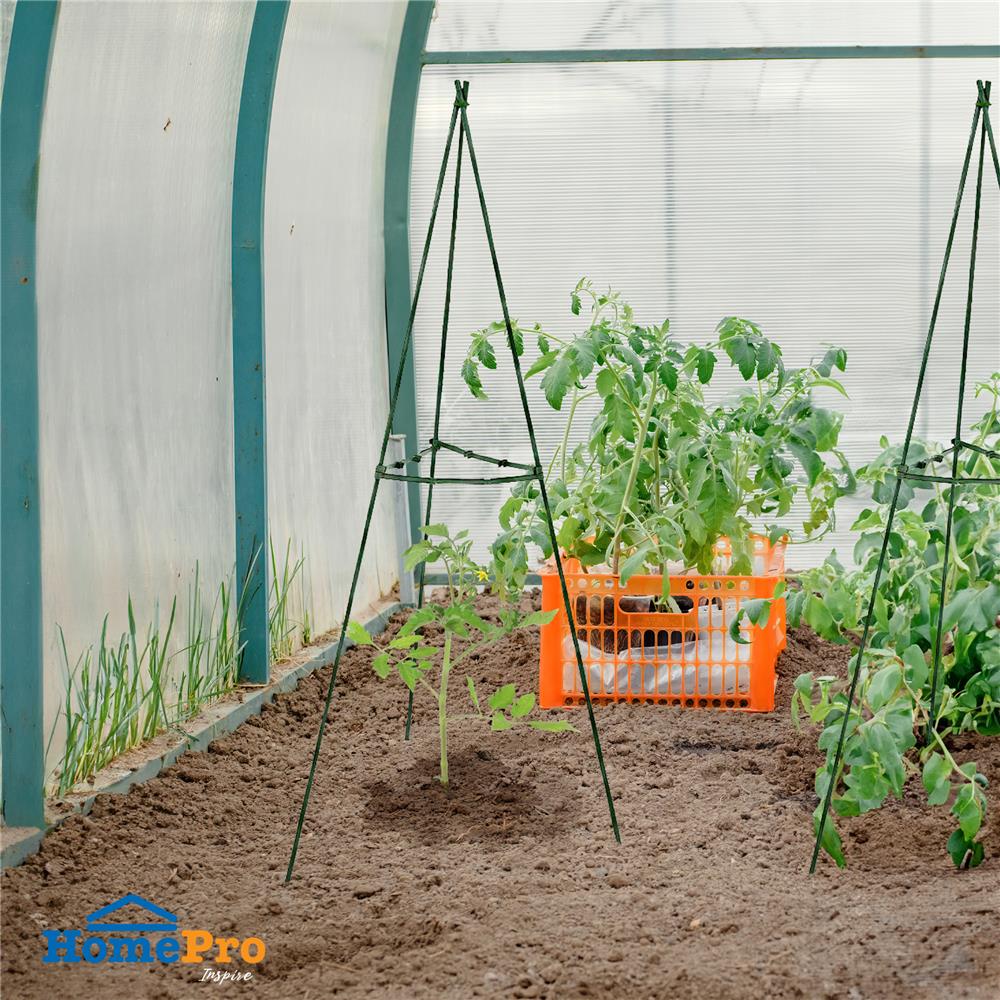 เสาปลูกไม้เลื้อยสามเหลี่ยม SPRING DGH702