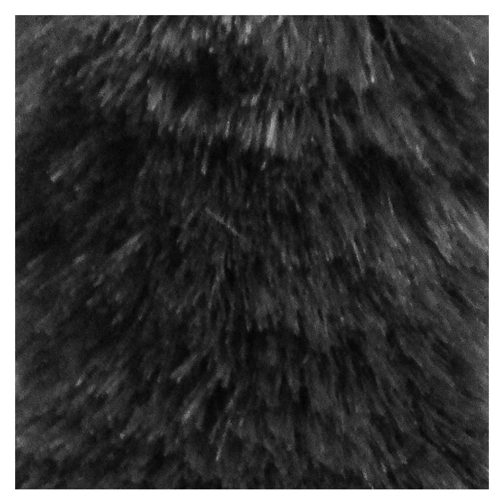 ไม้ปัดฝุ่นพลาสติกทอร์นาโด SMILE ARM SM085 4 นิ้ว สีดำ