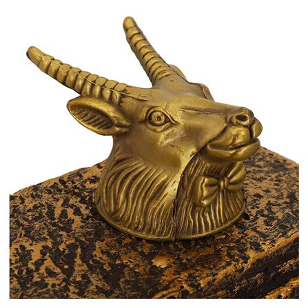 น้ำพุอโรม่า ANA ภูผาธารา_4