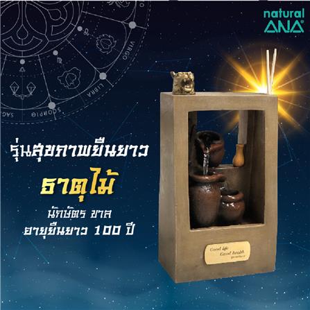 น้ำพุอโรม่า ANA สุขภาพยืนยาว_4