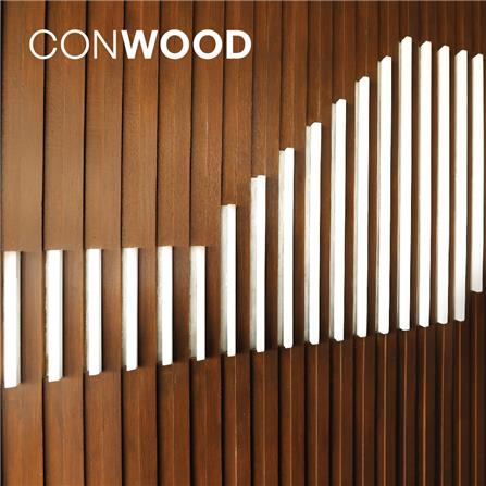 สีเก็บงาน CONWOOD สีไม้สัก 200 มล._2