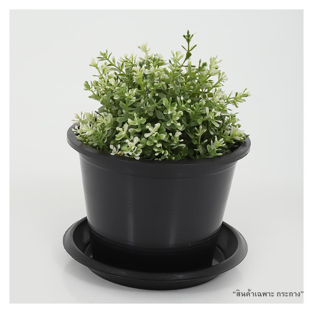 กระถางต้นไม้ SPRING 8 นิ้ว สีดำ