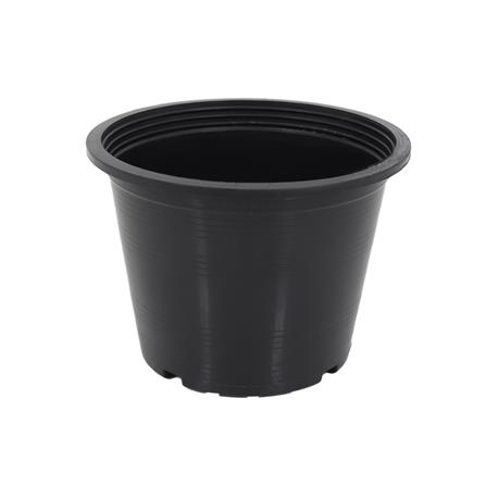 กระถางต้นไม้ SPRING 8 นิ้ว สีดำ