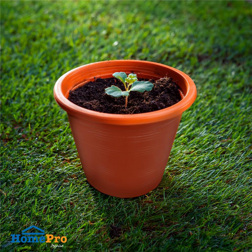 กระถางต้นไม้ SPRING 6 นิ้ว สีน้ำตาล