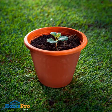 กระถางต้นไม้ SPRING 6 นิ้ว สีน้ำตาล_2