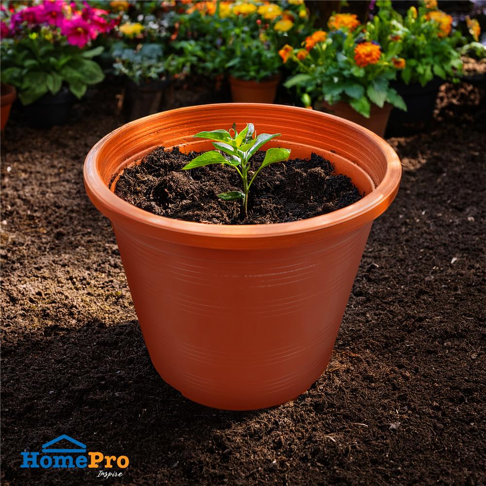 กระถางต้นไม้ SPRING 8 นิ้ว สีน้ำตาล