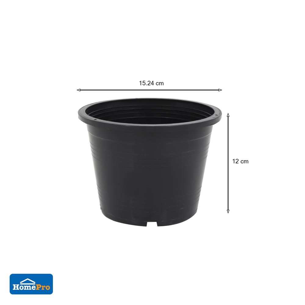 กระถางต้นไม้ SPRING 6 นิ้ว สีดำ