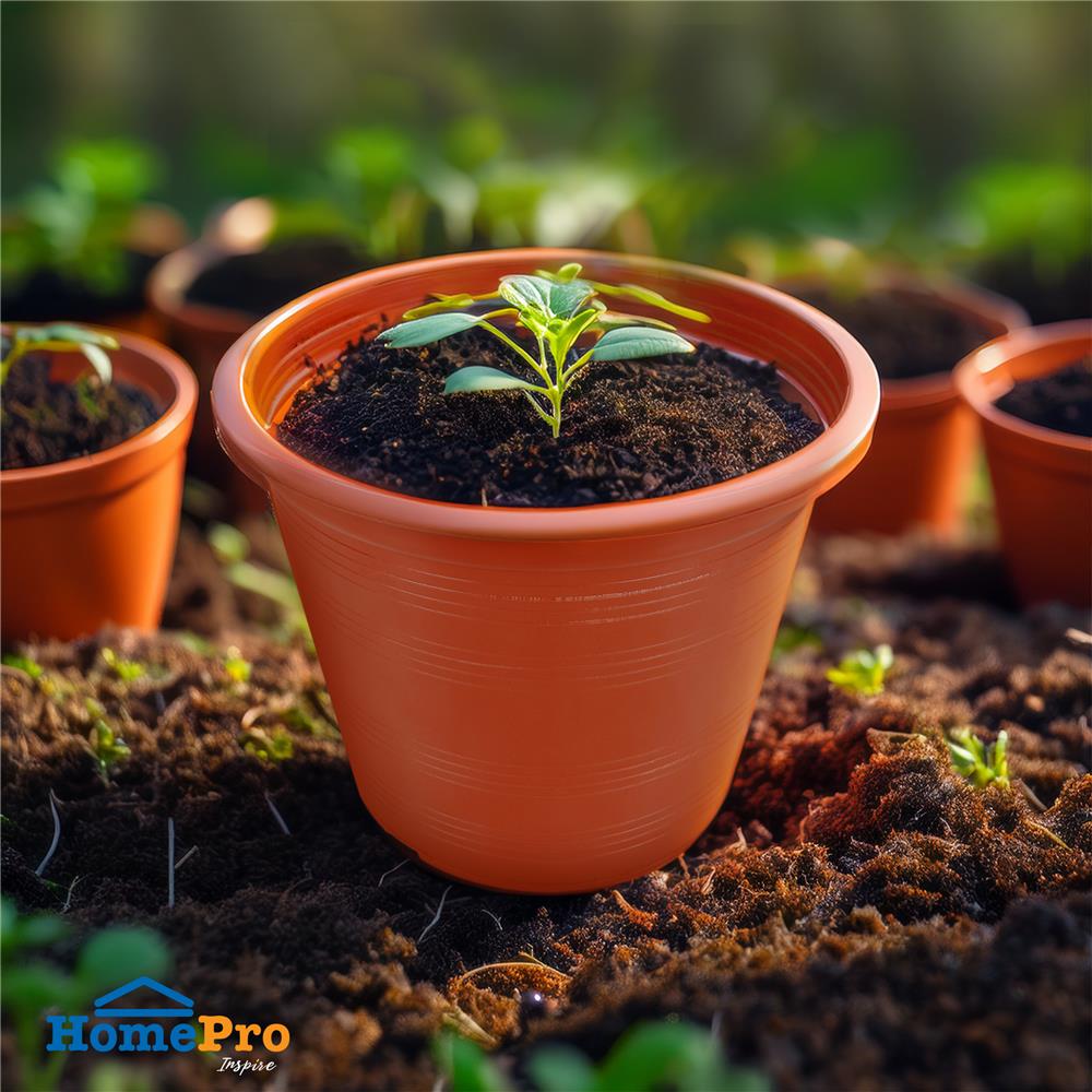 กระถางต้นไม้ SPRING 4 นิ้ว สีน้ำตาล