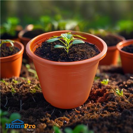 กระถางต้นไม้ SPRING 4 นิ้ว สีน้ำตาล_2