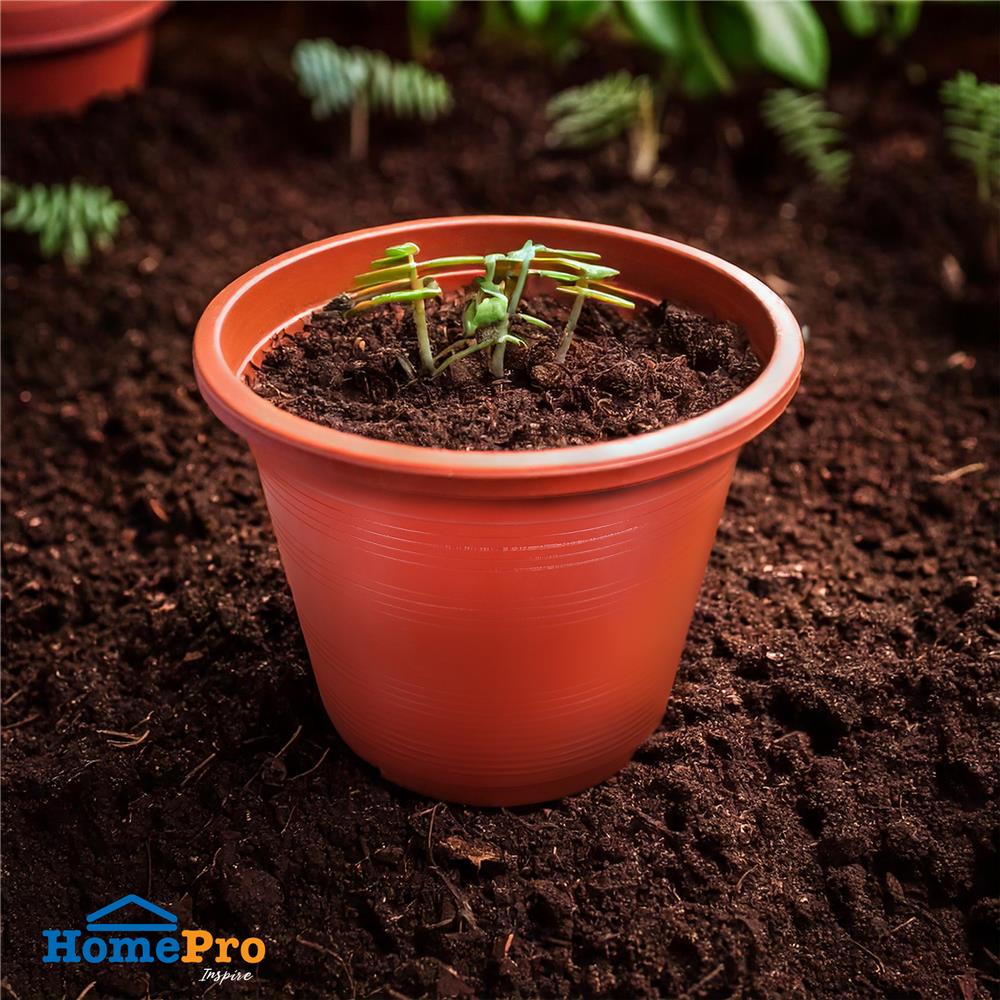 กระถางต้นไม้ SPRING 11 นิ้ว สีน้ำตาล