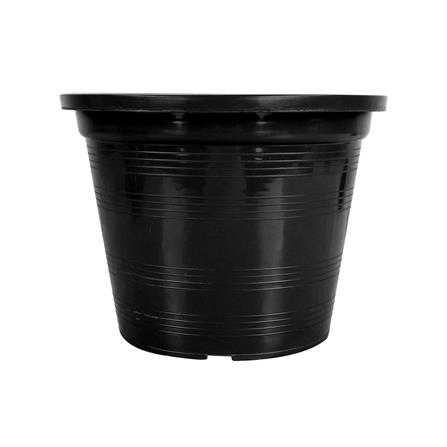 กระถางต้นไม้ SPRING 11 นิ้ว สีดำ 50 ใบ_1