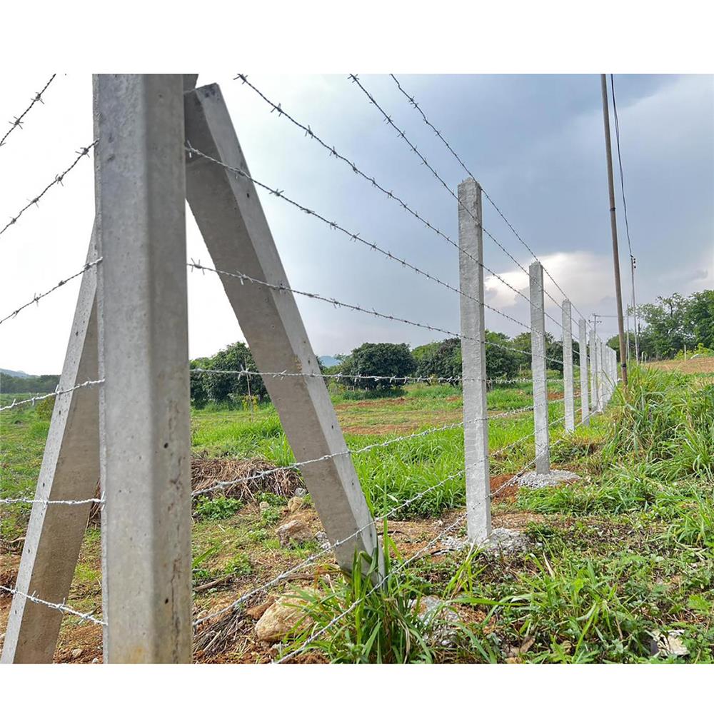 เสารั้ว 4 นิ้ว DSQUARE 2 เมตร