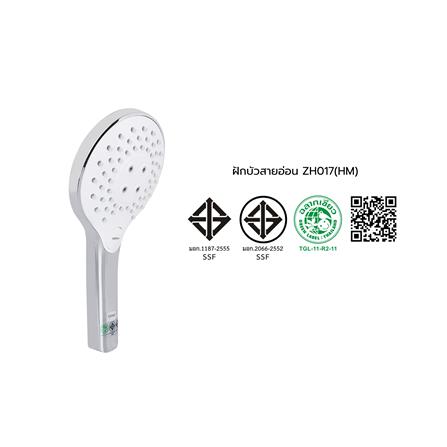 ชุดฝักบัวสายอ่อน 3 ระดับ COTTO รุ่น ZH017(HM) สีโครม_5
