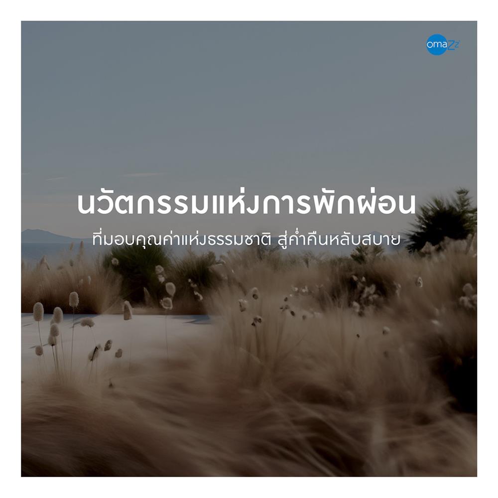 ที่นอนพ็อกเก็ตสปริง 3.5 ฟุต OMAZZ รุ่น FARTONA พร้อมชุดเครื่องนอน 6 ชิ้น